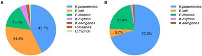 Prevalence of intestinal colonization and nosocomial infection with carbapenem-resistant Enterobacteriales in children: a retrospective study